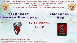 ХК «Торпедо» Нижний Новгород - ХК «Медведь» Бор 16.12.2022 12:30