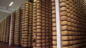 Sr Pelo 's Gags, Screams, And Faces - 2023