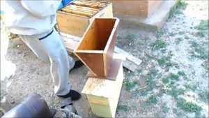 Сот Никот,ящик стартер вывод маток часть 1