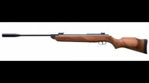 GAMO HUNTER 1250 ЛУЧШАЯ ИЗ ЛУЧШИХ ОХОТНИЧЬЯ ПНЕВМАТИЧЕСКАЯ ВИНТОВКА ИСПАНИЯ СУПЕРМАГНУМ КЛАССА