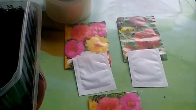 Посев мелкосеменных цветов (" Портулак"," Целозия")