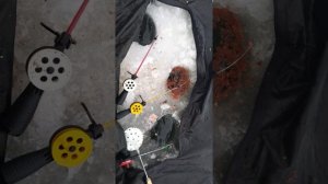 Зимняя рыбалка в Башкирии "супер клёв"