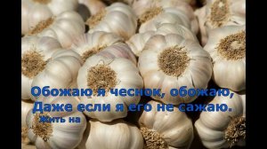 Обожаю я чеснок (пародия на песню "Обожаю" М. Шуфутинского)