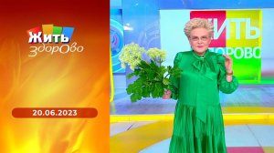 Жить здорово! Выпуск от 20.06.2023
