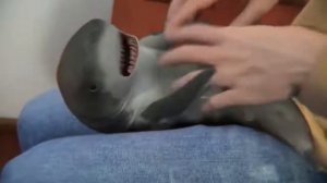 РЕАЛЬНАЯ МАЛЕНЬКАЯ АКУЛА YOU DO NOT BELIEVE YOUR