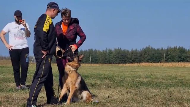 Баларис ШТЕРН воронеж проверка