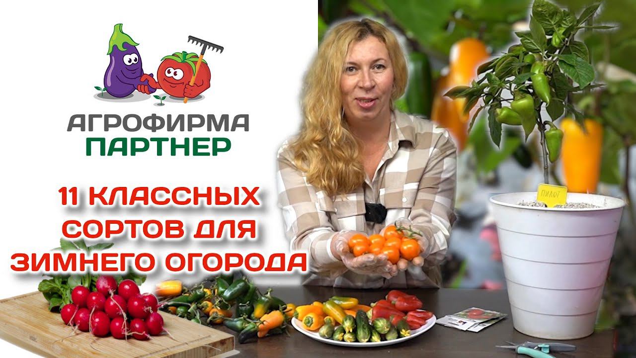11 классных сортов для зимнего огорода и самого раннего урожая| #зимнийогород #семенапартнер #огород