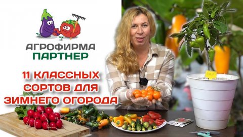 11 классных сортов для зимнего огорода и самого раннего урожая| #зимнийогород #семенапартнер #огород