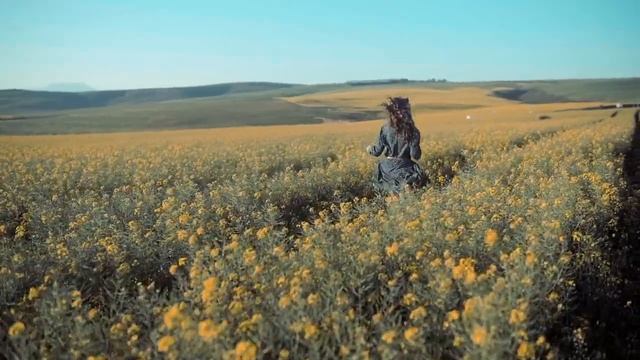 Научись управлять своей жизнью с помощью 9 энергий света