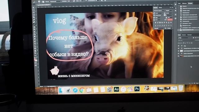 со мной такое впервые! - влог - жизнь с минипигом