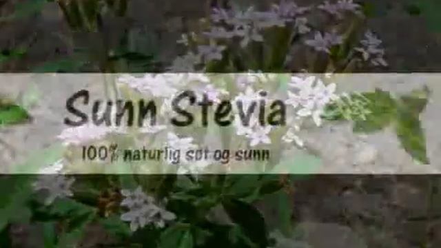 Stevia Billig смотреть онлайн