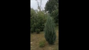 Село Малинино, Хлевенский район, Липецкая область, съёмка 10.08.2021