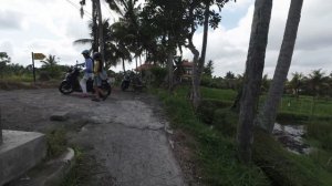 4K INDONESIA | KAJENG RICE FIELD in  UBUD - Walkabout