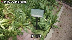 【北見ひとり旅】焼肉の名地で歴史探報 〜北の大地を鈍行列車とバスだけで旅する#10 ?? 2021年7月28日〜29日