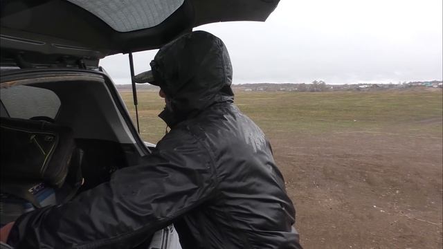 Крупная плотва весной.