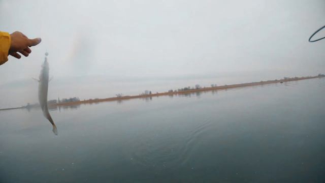 Раздача СУДАКА ...река Дон смотреть онлайн