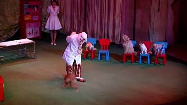 Театр Дурова: 21 из 50 чудес Москвы смотреть онлайн