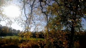 Релакс.Осенняя природа Сибири, красивая музыка для души