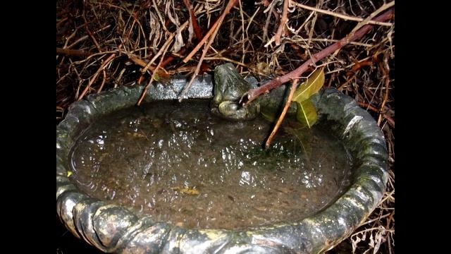 From the Charity Shop: Kodak PIXPRO FZ51 DigiCam смотреть онлайн