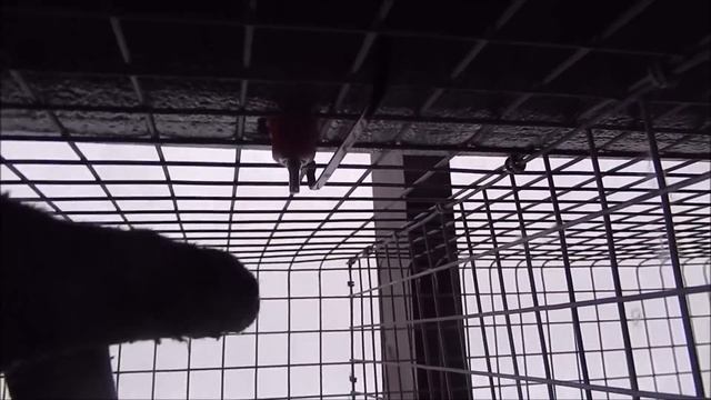 Зимнее ниппельное поение для небольших хозяйств.