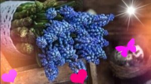 Добрый день - добра и хорошего настроения Бесплатные открытки