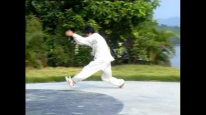 Стиль Богомол сливы Мэйхуа тайцзи. Ушу //Maihua plum mantis style meihua taiji. Wushu