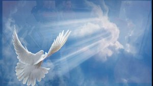 Христианская песня. О Дух Святой. Семья Яловских.