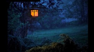 ночной лес музыка для релакса, сна, медитации night forest music for relaxation, sleep, meditation