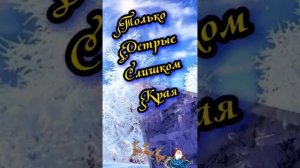 Чёрно --белый Берёзовый ситец.