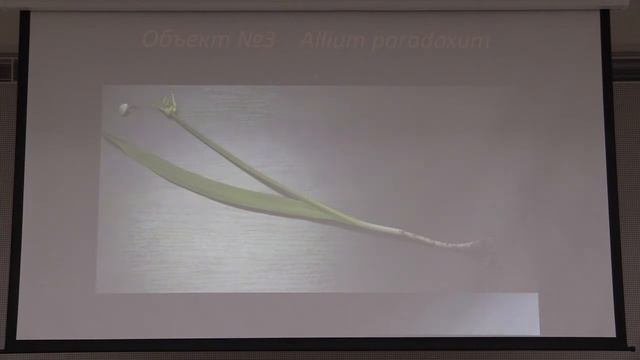 ЗЭ 2018, Морфология растений, 9 класс edit смотреть онлайн