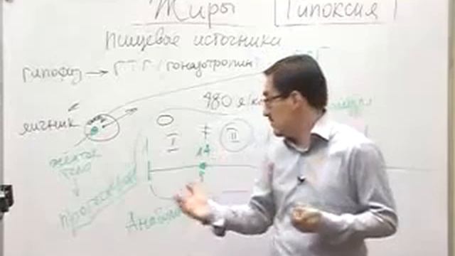 Суть женщины лекция смотреть онлайн