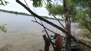 Нашел Сазаний Остров! Огромные Дикие сазаны гнут спиннинги в дугу. Рыбалка на сазана в Астрахани!