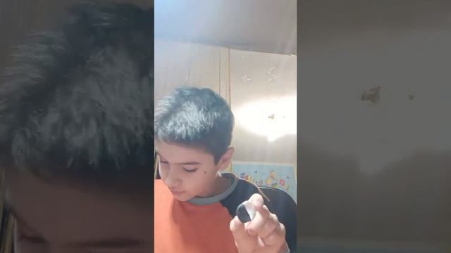 Аниматроники Солнце  и Луна