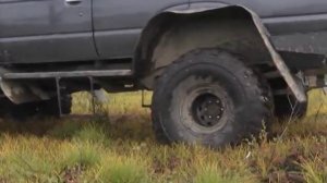 Хозяин тайги