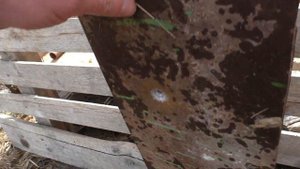 366ТКМ в стальной лист 6mm