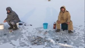 ТАВРИЧАНКА!!!Ловля корюшки на блёсна и самодур.ЗИМНЯЯ РЫБАЛКА.Приморский край.Winter fishing.