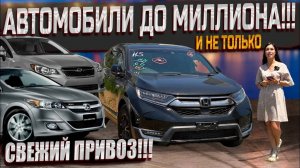 НЕ ДОРОГО И НАДЁЖНО! ЯПОНИЯ ПРОДОЛЖАЕТ РАДОВАТЬ! ПОКУПКА АВТО В ЯПОНИИ.