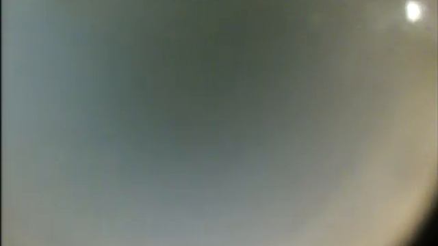 Кур обл Коренево завод