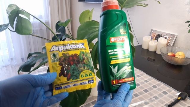 МОНСТЕРА Секреты Ухода В Домашних Условиях. Почему Желтеют и Опадают Листья? смотреть онлайн