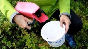 Ягодосборники