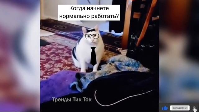 Начальник зашел к работникам