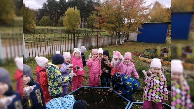 Проект "Богатый урожай". смотреть онлайн