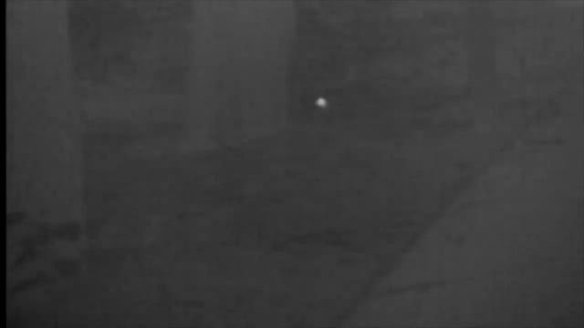 FORTUNA.ARMY - тепловизор для охоты, тестирование тепловизоров, видео про тепловизор pulsar