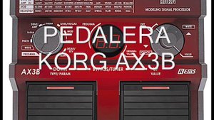 KORG AX3B