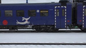Электропоезд ЭП2Д-0083 ЦППК РЭКС