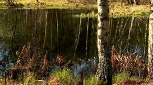 Затерянное озеро | С любовью к русской природе