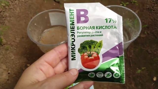 Первая важная подкормка для томатов и других растений . Бор и Микроэлементы.
