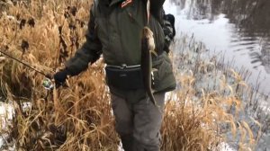 Ловля Щуки На Малых Реках В Ноябре.