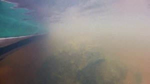 по Западной Двине за 5 минут, от оз.Охват до Рубы, 370 км