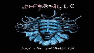 Shpongle - Shpongle Spores (Remastered) ᴴᴰ
